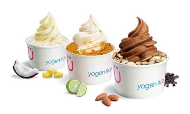 Business Trend or Fad? Froyo was a definite fad.